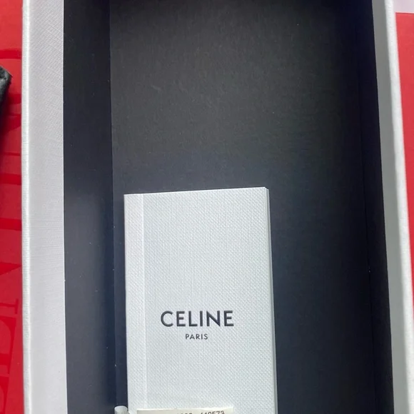 Celine Butterfly Acetate Sunglasses - Picture 4 of 4